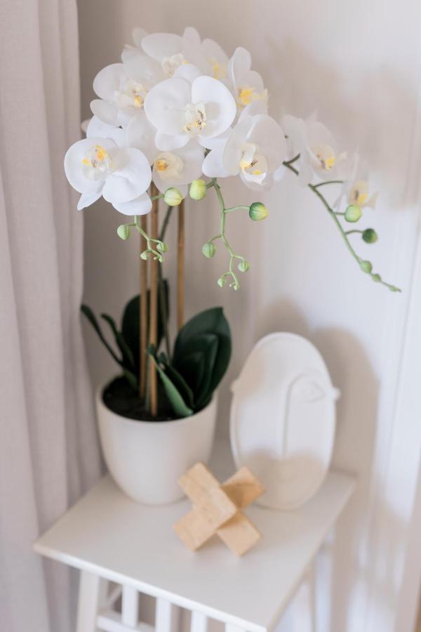 Studio 26: Central, Hampton'S Poolside Hideaway Coffs Harbour Esterno foto